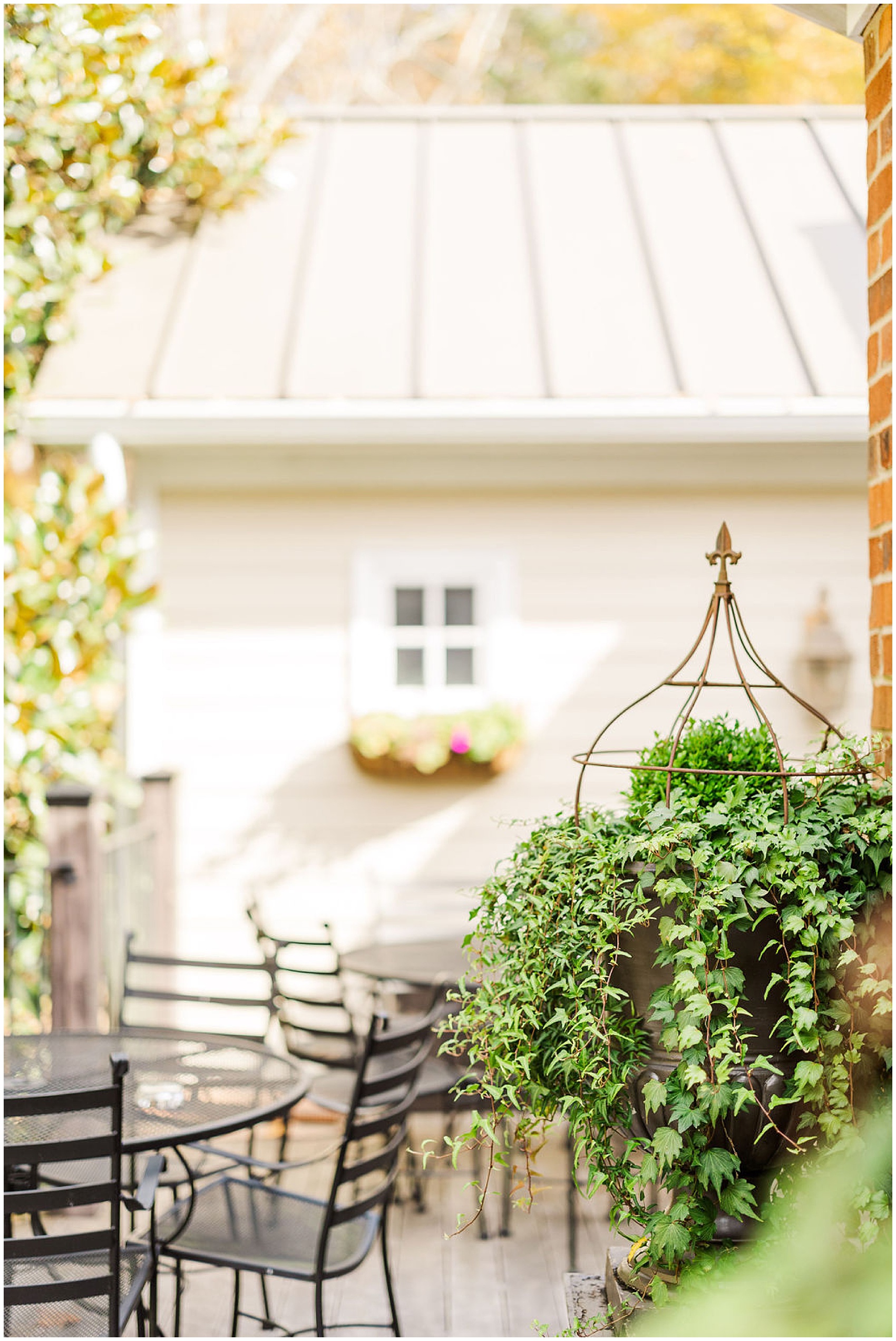 greenery outside of the The Mill at Fine Creek Wedding Venue