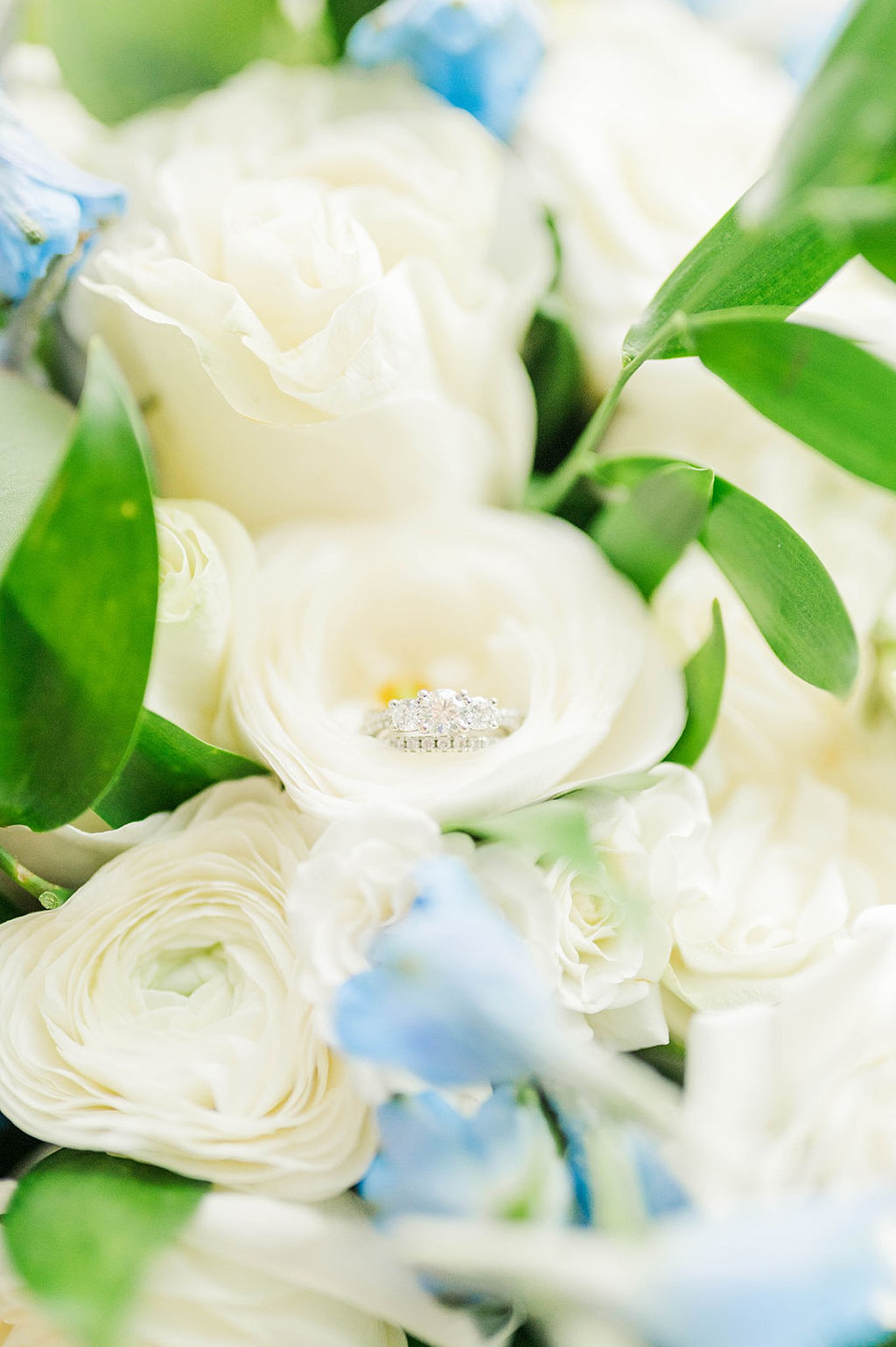 wedding rings sit inside a rose