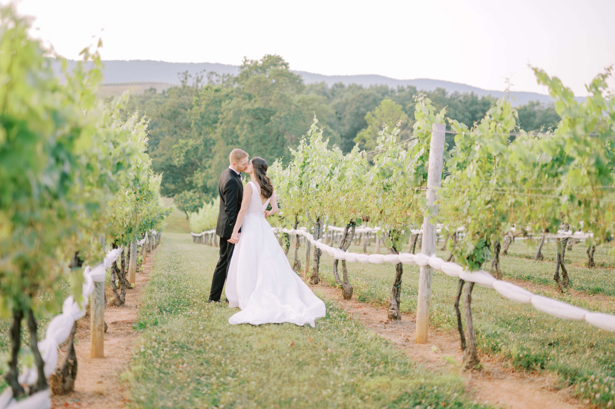 Couples kissing at Charlottesville wedding venue amidst vineyards