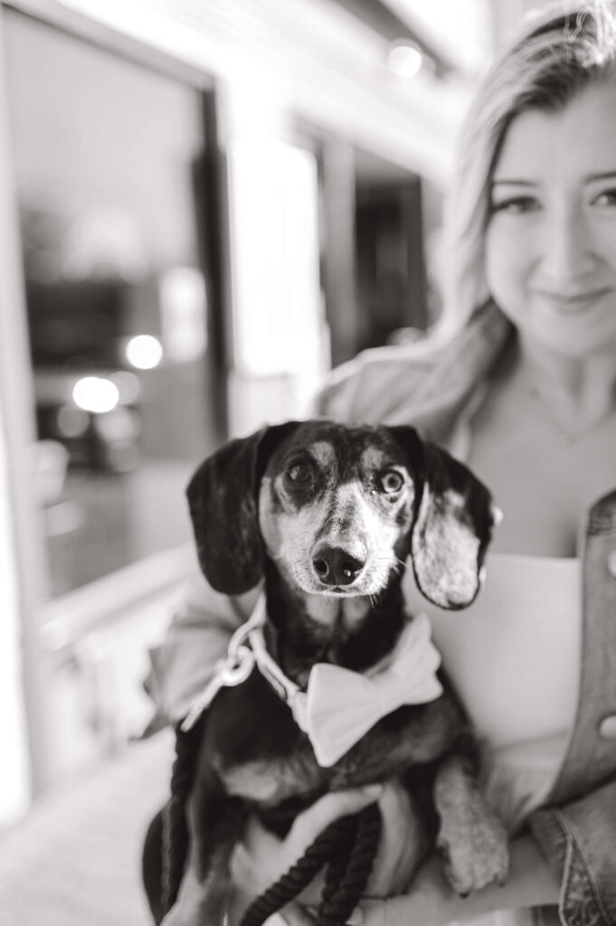 Black and white photo of dog during engagement photos