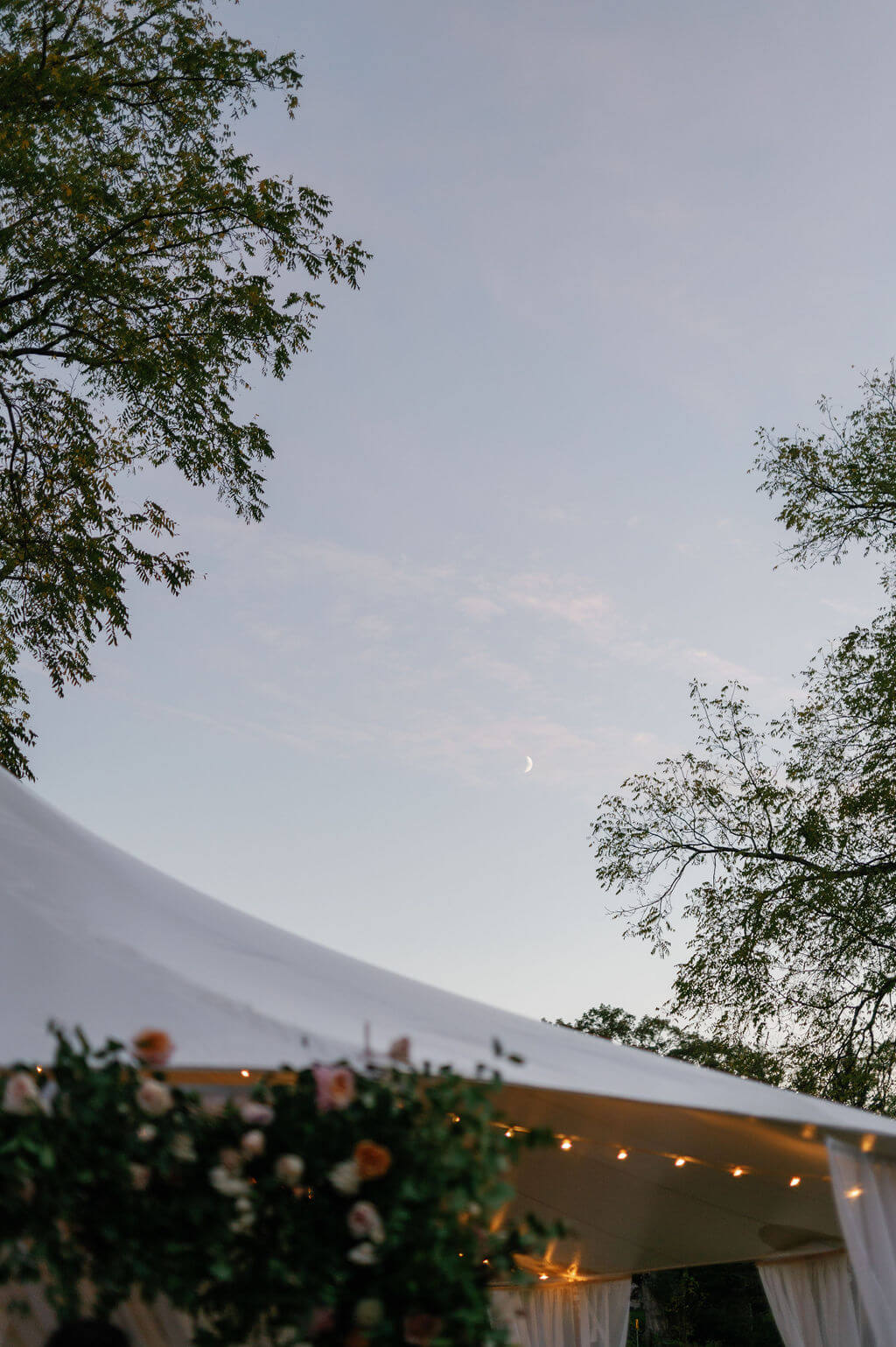Twilight sky with crescent moon above tented wedding celebration at The Willows at Ashcombe Mansion, surrounded by trees and twinkle lights.